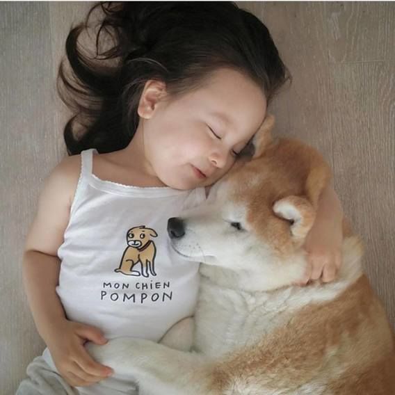 Kumpulan 23 Foto Anak dan Anjingnya Ini Pasti Akan Mencerahkan Harimu!