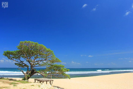 25 Pantai Terbaik di Pulau Jawa