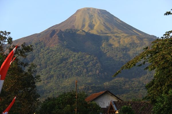 10 Cerita Horor Pendaki Gunung Indonesia, Bikin Merinding!