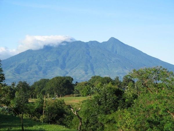 10 Cerita Horor Pendaki Gunung Indonesia, Bikin Merinding!