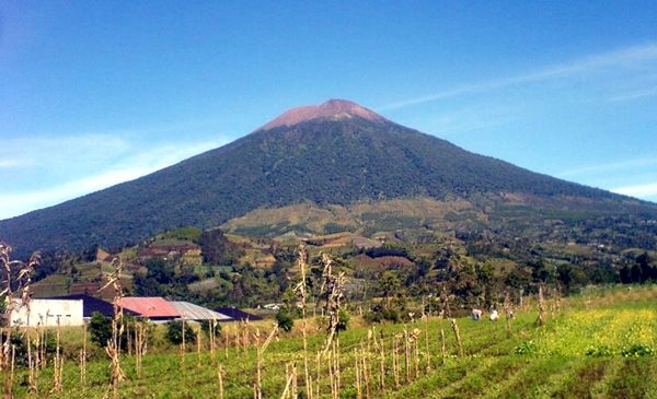 10 Cerita Horor Pendaki Gunung Indonesia, Bikin Merinding!