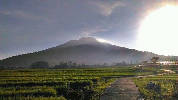 cerita horor perjalanan 10 Cerita Horor Pendaki Gunung Indonesia Bikin Merinding 
