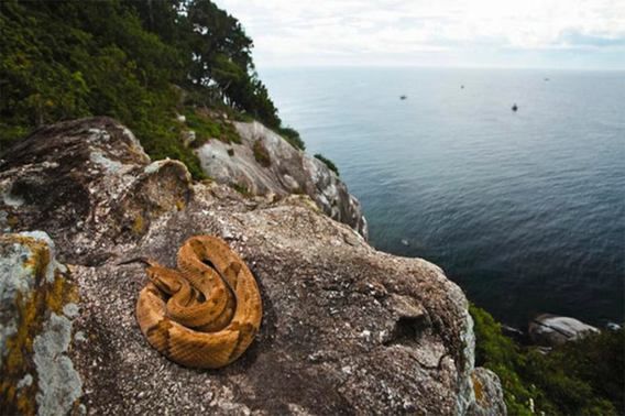 Ngeri! Inilah 30 Tempat Paling Serem dan Misterius di Dunia