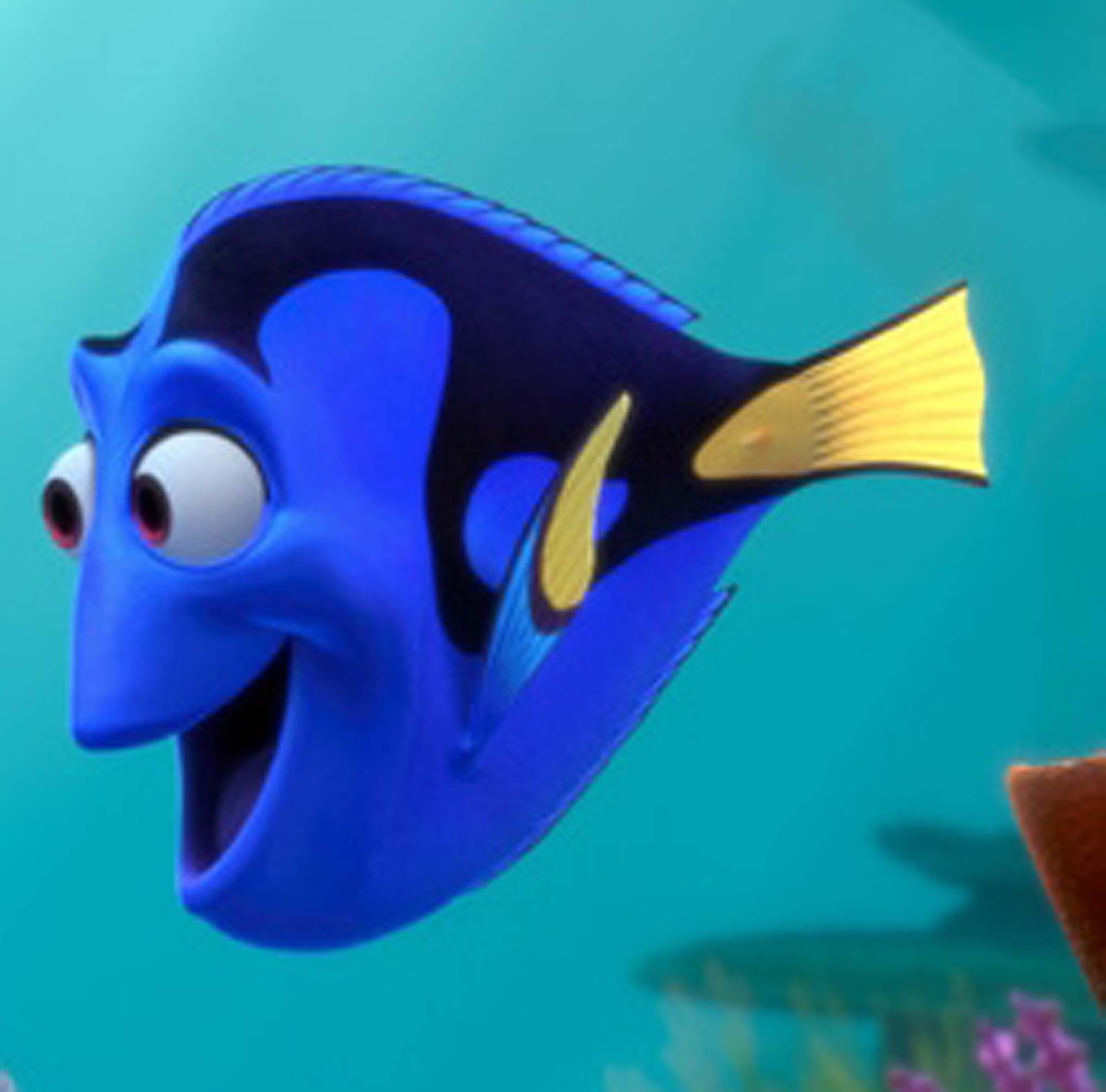 Nonton Finding Dory Baca Dulu 7 Kutipan Dari Finding Nemo Ini