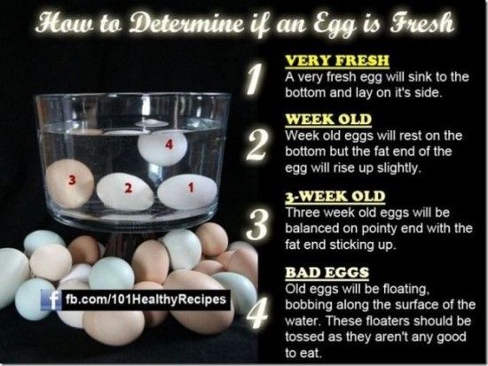 how-to-tell-if-an-egg-is-fresh-23f4211c3c8150c7a366a5406e4ace91.jpg