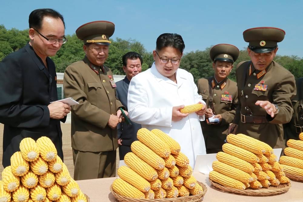 antarafoto-jong-un-farm-northkorea-130916-325e326b1d6a106617d7f8a93aad6e25.jpg