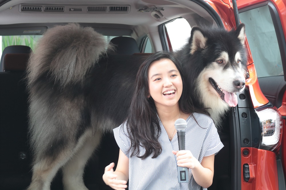 Gini Nih Serunya Jika Para Pecinta Anjing Berkumpul