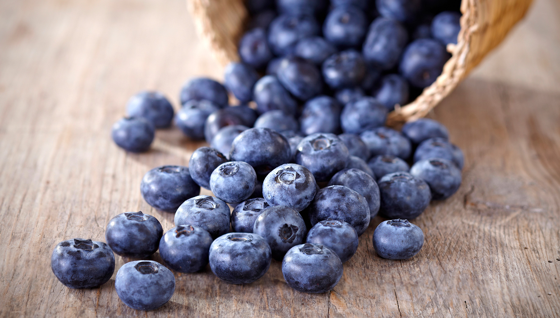keranjang-of-blueberries-5bff4e5f402aa169e6aea777ae67b456.jpg