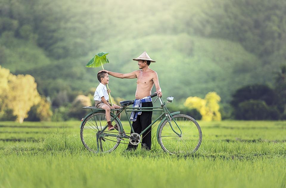 Image result for anak laki dan bapaknya di sawah