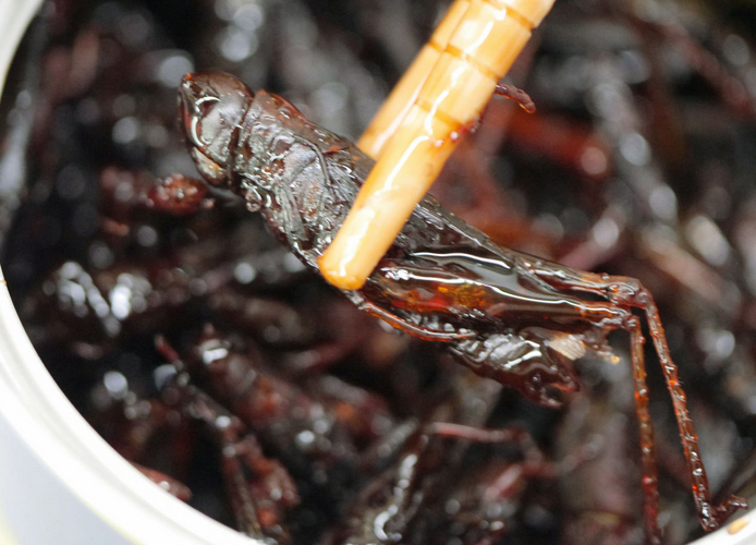 Gak Nyangka, 11 Makanan 'Aneh' Asal Jepang Ini Ternyata Biasa Dikonsumsi