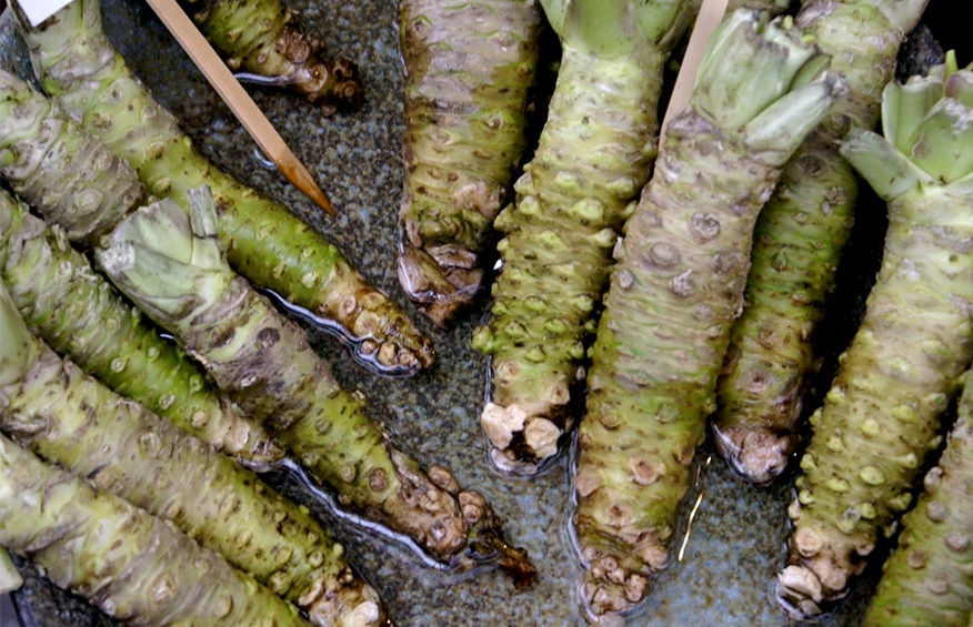 Gak Nyangka, Ini Wujud Tanaman 13 Bahan Makanan Sebelum Dipanen!