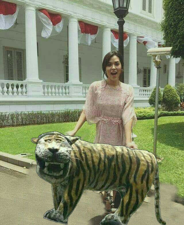 Unduh 410 Koleksi Gambar Harimau Yg Lucu Keren Gratis