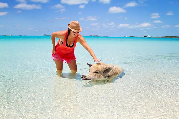 Unik dan Cantik, Begini Kenampakan 4 Pulau Tersembunyi di Dunia