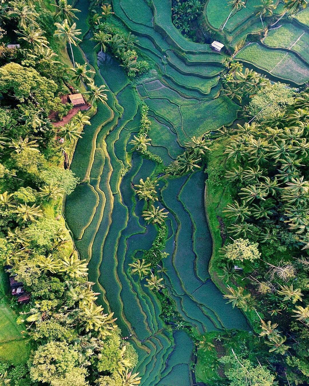 15 Foto Ini Buktikan Keindahan Alam Indonesia Gak Kalah Dengan