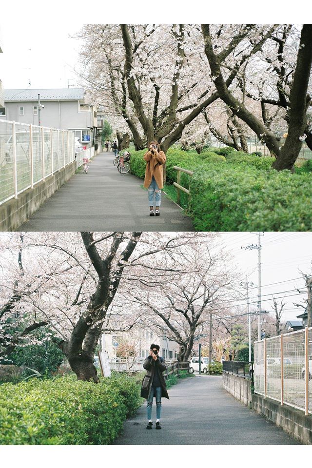 Pasangan Ini Bandingkan Kamera Leica vs. Olympus Pakai Cara Paling Romantis