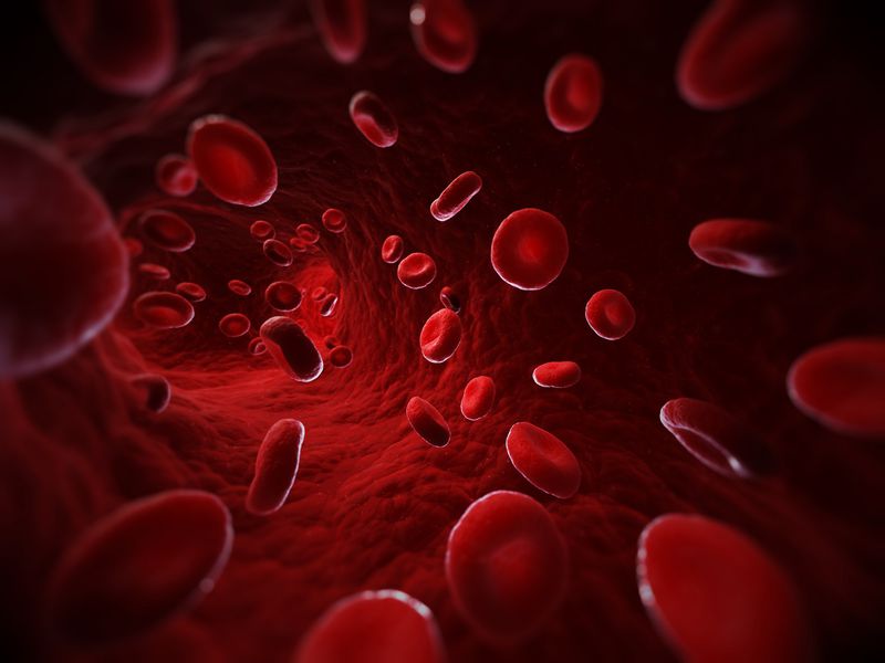 Kenapa Manusia Punya Golongan Darah? Ini Fakta Ilmiahnya
