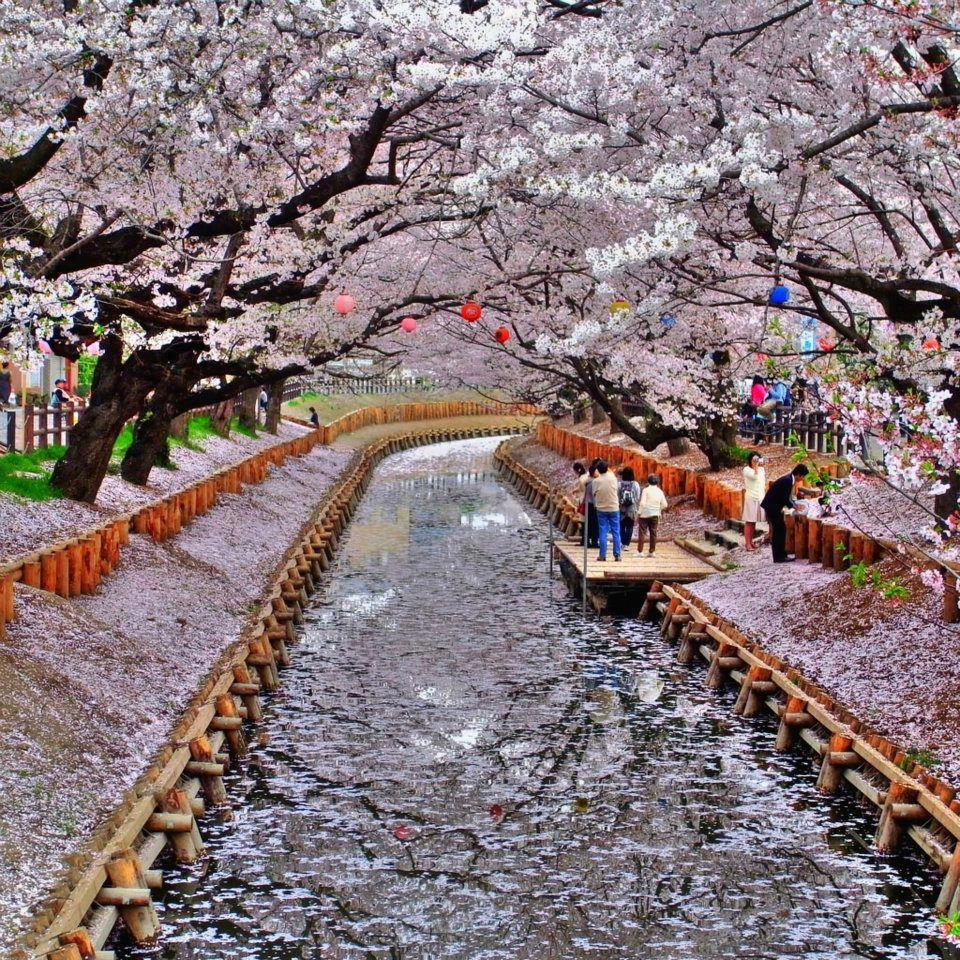 20 Tempat Honeymoon Paling Romantis untuk Pengantin Baru