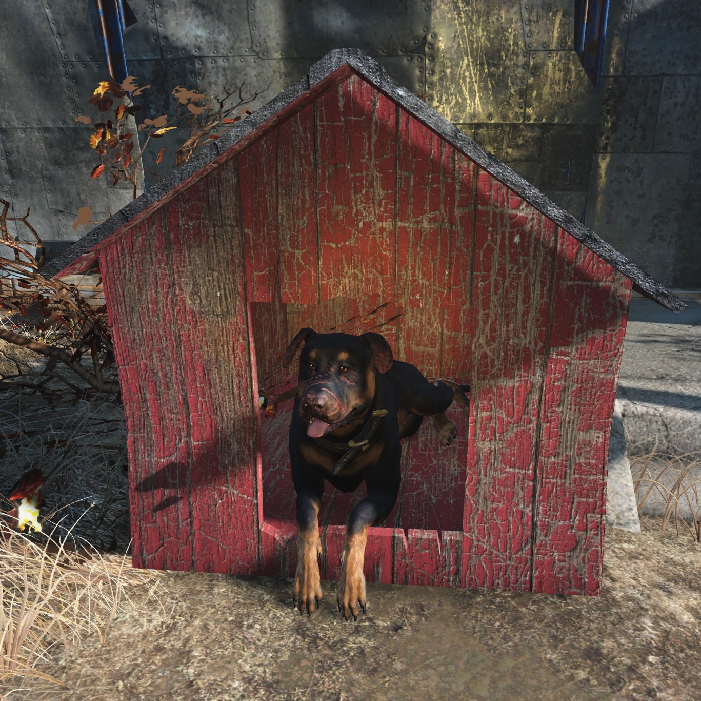 fo4-junkyard-dog-black-99f4fa6f3ab39326a46c36a14a82f20f.jpg