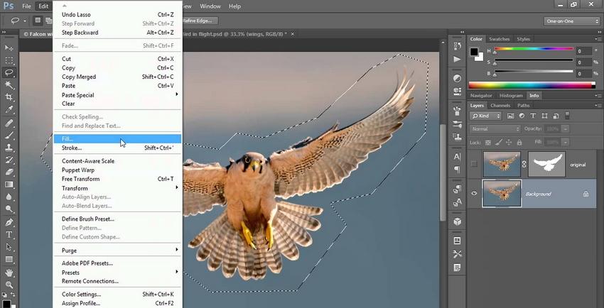 Photoshop solo layer information