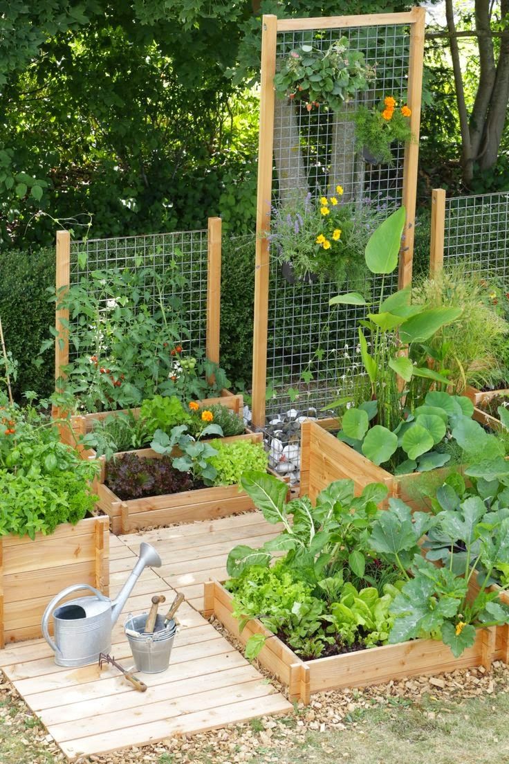 17 Ide Kreatif Bikin Kebun  Sayur di  Rumah  Sendiri