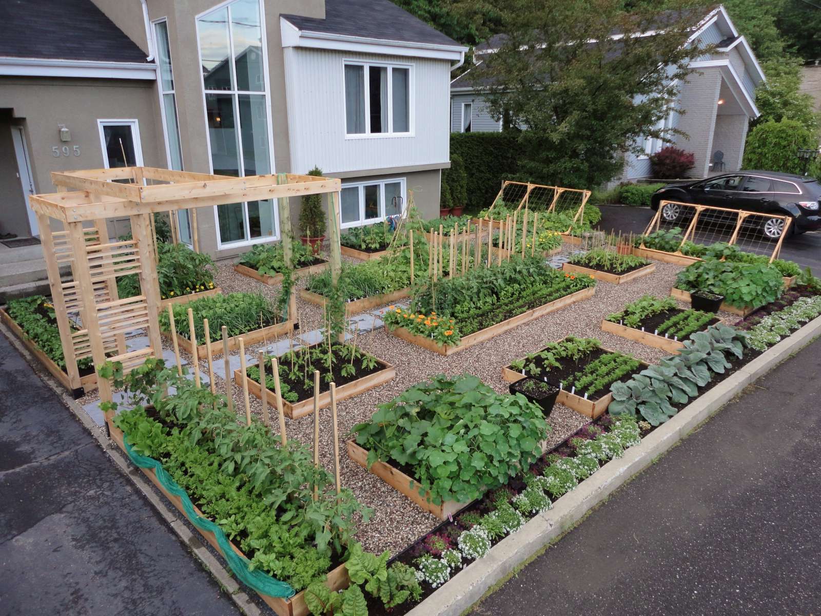 Ide Kreatif Bikin Kebun Sayur Di Rumah Sendiri