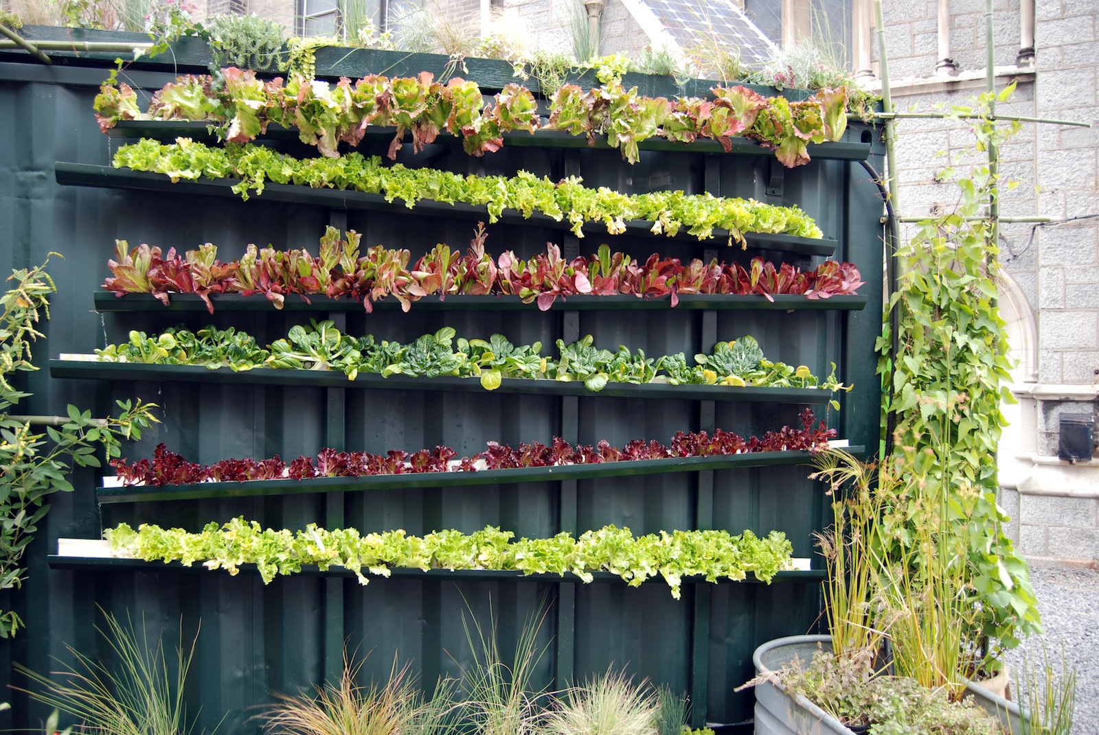 17 Ide Kreatif Bikin Kebun Sayur Di Rumah Sendiri