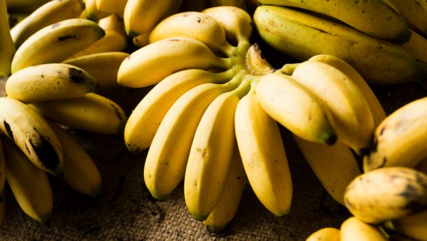 Top! 10 Makanan Paling Sehat di Dunia