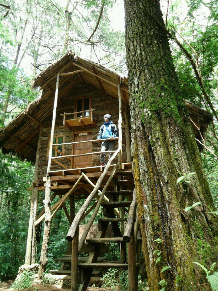 9 Rumah Pohon Unik Yang Wajib Masuk Dalam List Liburan Seru