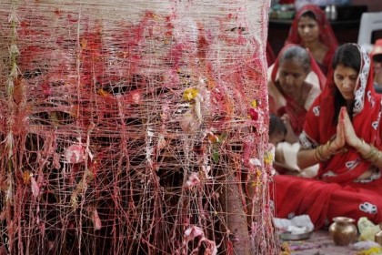 Hasil gambar untuk tradisi pernikahan india dengan pohon dan anjing