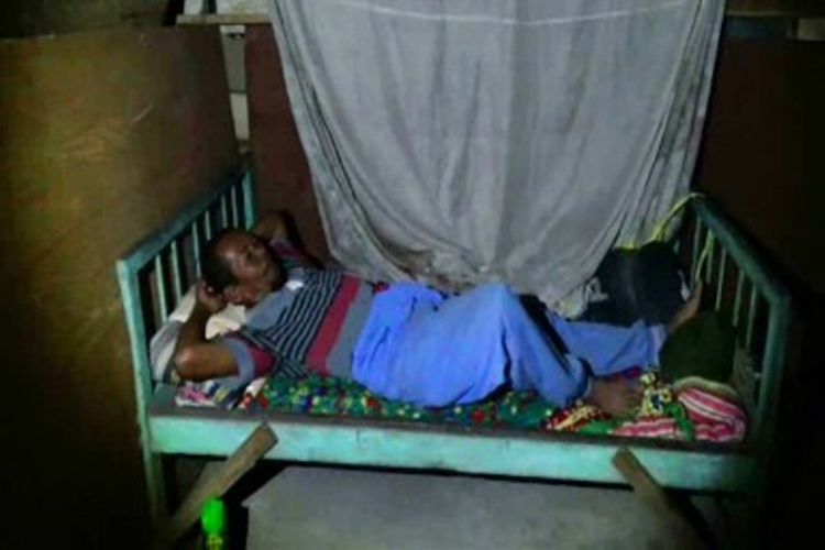Demi Sapi Kurban Jokowi, Pria Ini Rela Tidur di Kandang 
