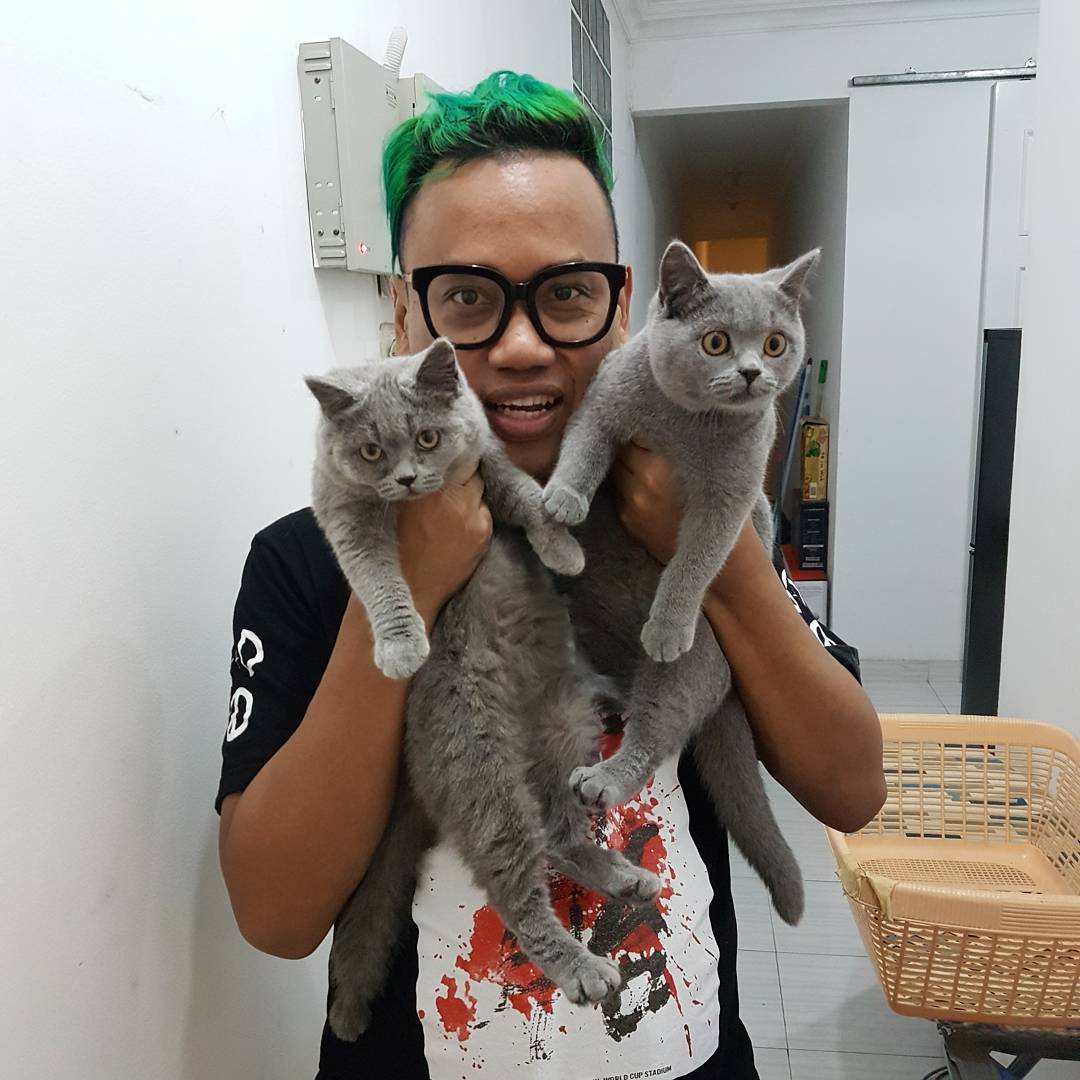 10 Artis Pencinta Kucing & Peliharan Unyu Mereka, Bikin Gemes!
