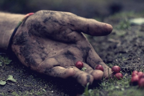 Awas, Sayur dan Buah Ini Ternyata Bisa Mematikan!