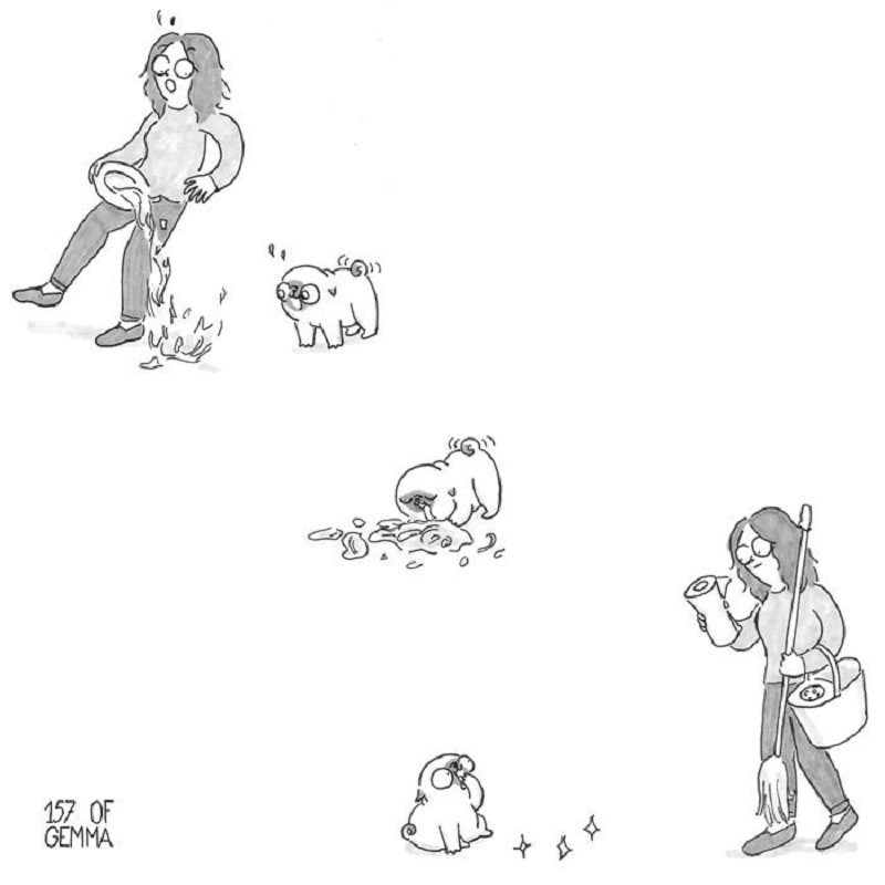 21 Ilustrasi Jujur Yang Pasti Dialami Para Pecinta Anjing