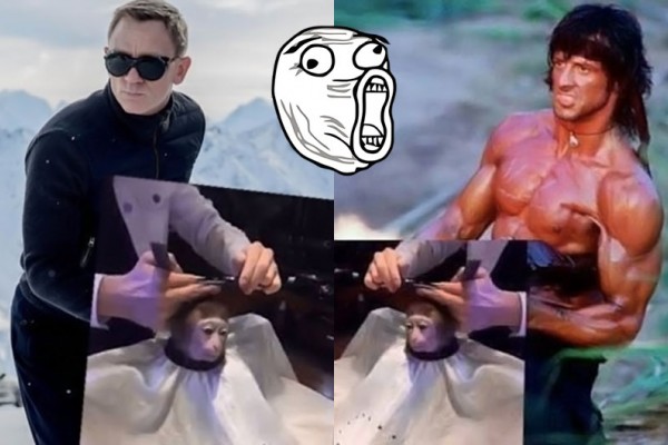 Meme foto monyet cukur rambut lagi jadi sensasi di internet lho. 