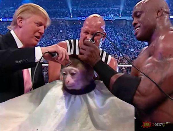 Heboh Meme Monyet Cukur Rambut  Ini Sukses jadi Sensasi 