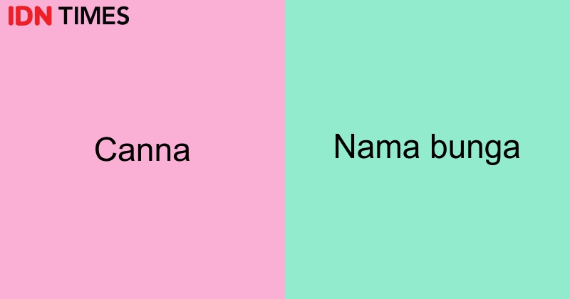 Berabjad A-F, 28 Nama Bayi Perempuan Berbahasa Latin yang Indah