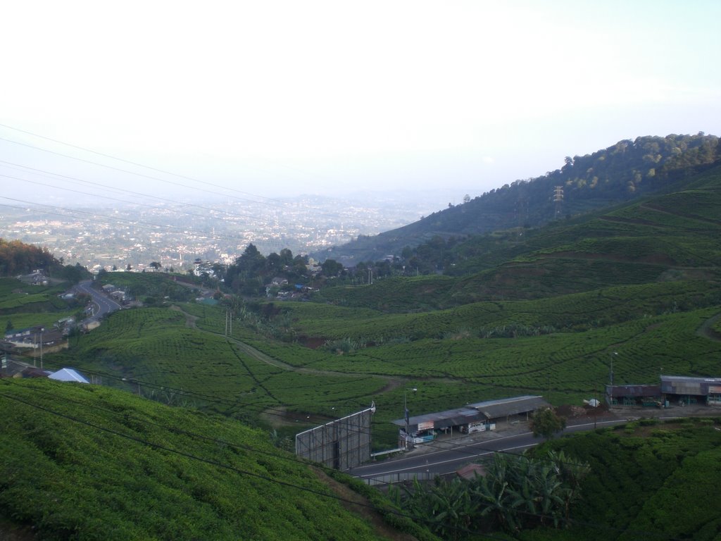 Dibongkar Inilah 5 Fakta Restoran Rindu Alam Puncak Yang Dibongkar Inilah 5 Fakta Restoran Rindu Alam Puncak Yang