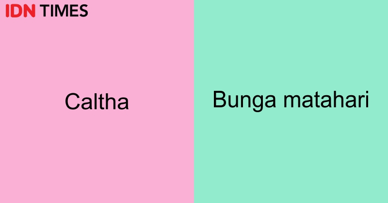Berabjad A-F, 28 Nama Bayi Perempuan Berbahasa Latin yang Indah