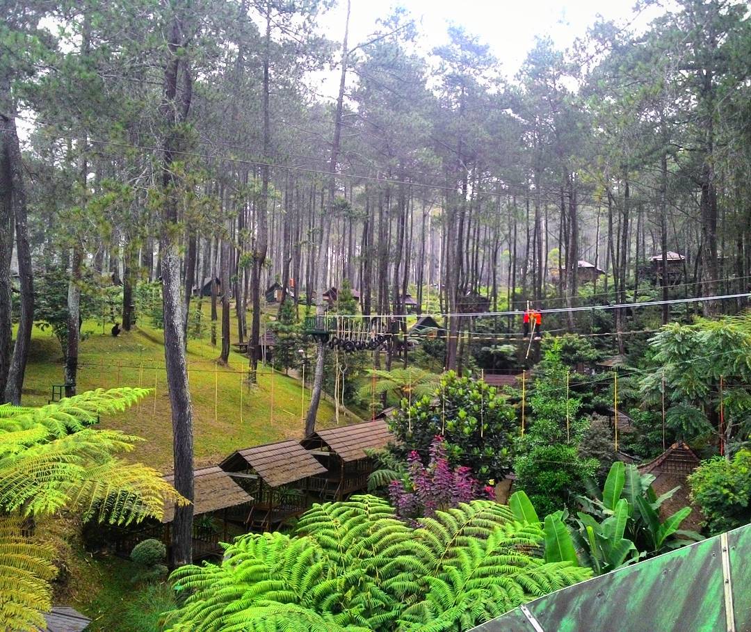 10 Rumah Pohon Paling Unik Di Dunia Punya Indonesia Keren Banget