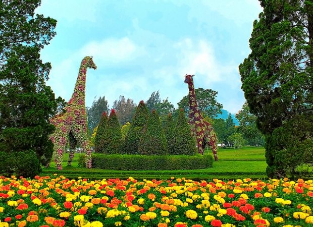 8 Taman Bunga Cantik Di Indonesia Ini Instagramable Banget