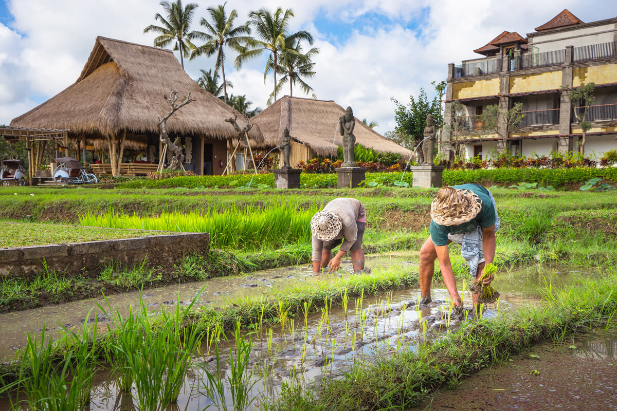 5 Desa Terindah Di Bali Bisa Untuk Liburan Akhir Tahun Nih