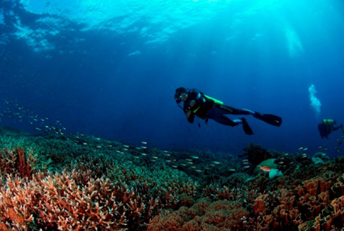 5 Surga Diving di Sulawesi Ini Indahnya Kebangetan, Gak Cuma Bunaken