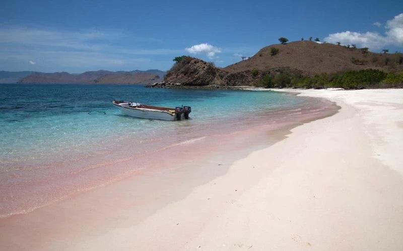 7 Pantai Pink Terindah di Dunia, Indonesia Punya yang Lebih Menawan!