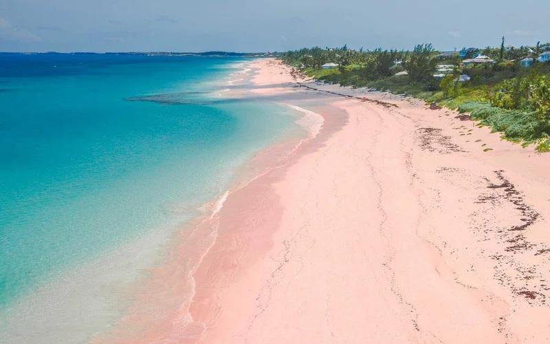 7 Pantai Pink Terindah di Dunia, Indonesia Punya yang Lebih Menawan!