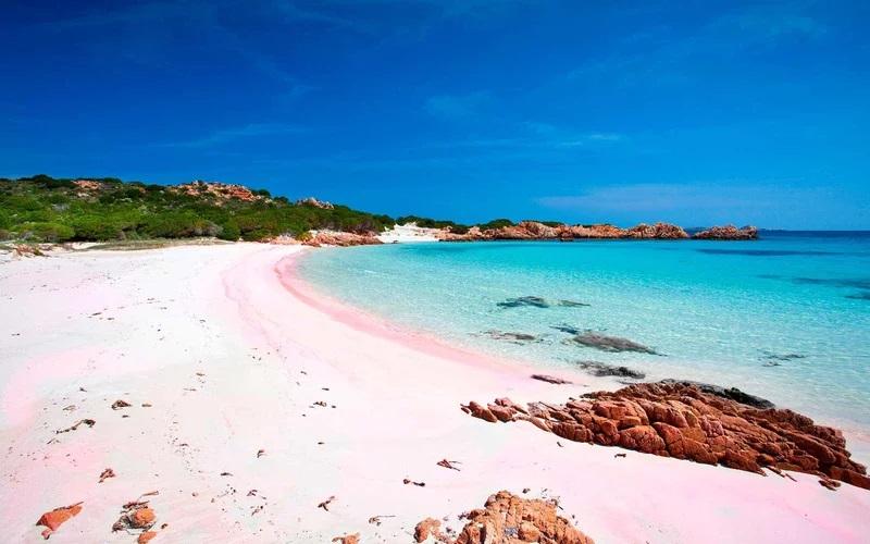 7 Pantai Pink Terindah di Dunia, Indonesia Punya yang Lebih Menawan!