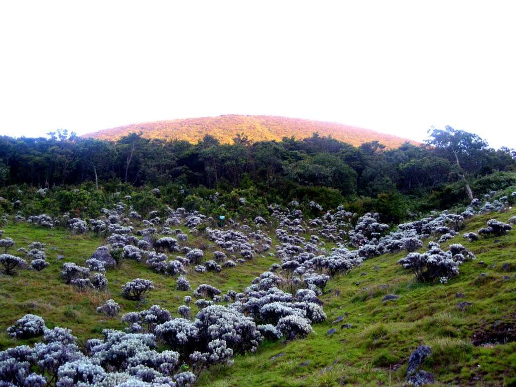 10 Gunung Paling Favorit di Indonesia, Indahnya Tak Main-main!