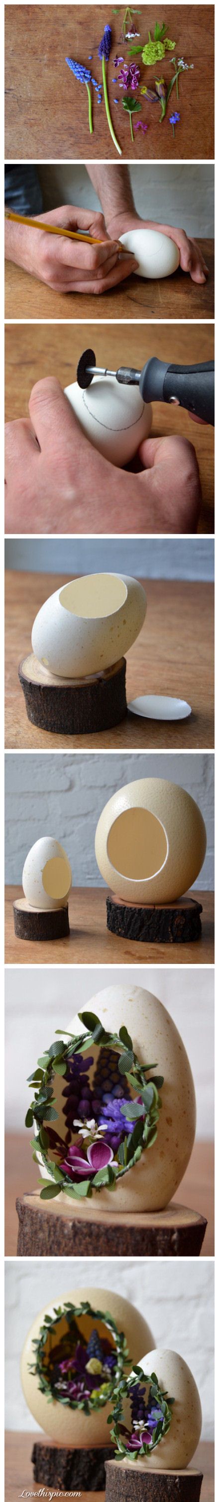 Bikin Melongo Ini 10 Diy Kulit Telur Yang Gak Terpikirkan