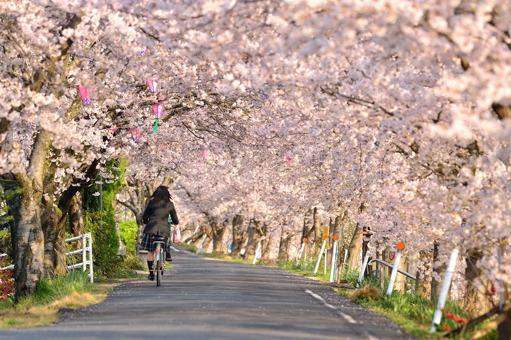 8 Keunikan Sistem Pendidikan di Jepang Bukti Negara Maju