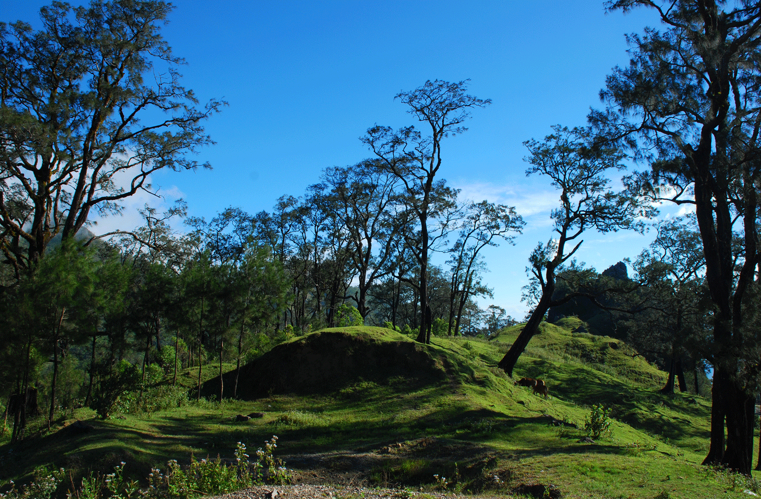 7 Wisata di Indonesia Ini Mirip Eropa, Instagramable dan Kece!