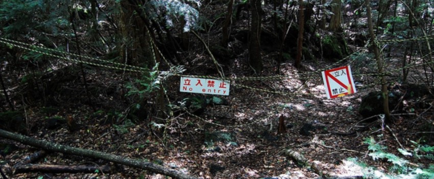 Mengenal Aokigahara, 